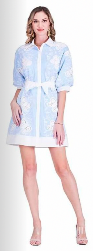 Shirt Dress