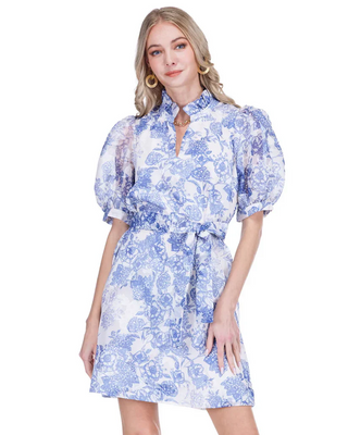Collar Chemise Dress